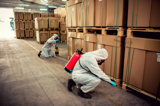 Best Pest Removal Services  in Nogales, AZ