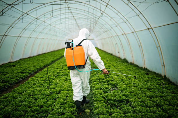 Best Residential Pest Control  in Nogales, AZ