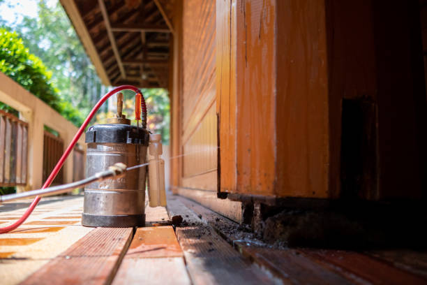 Best Mosquito Control Services  in Nogales, AZ